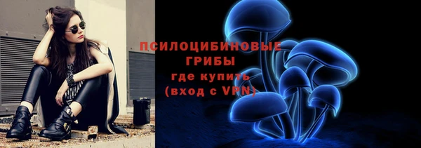 сатива Богданович
