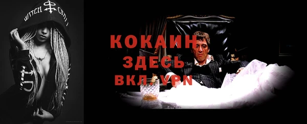 сатива Богданович