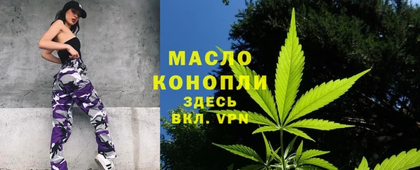соль ск Богородицк