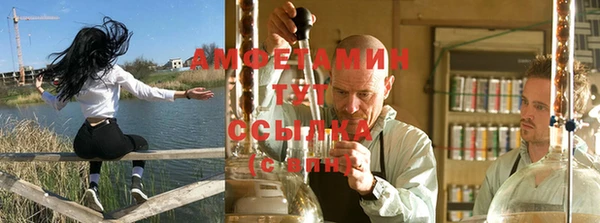 сатива Богданович