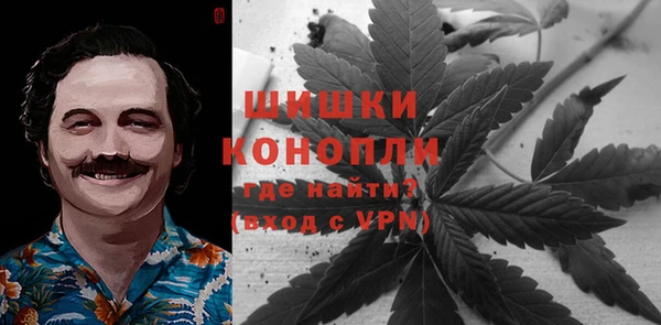 соль ск Богородицк
