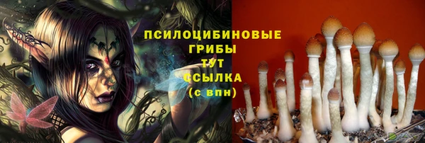 наркотики Богородск