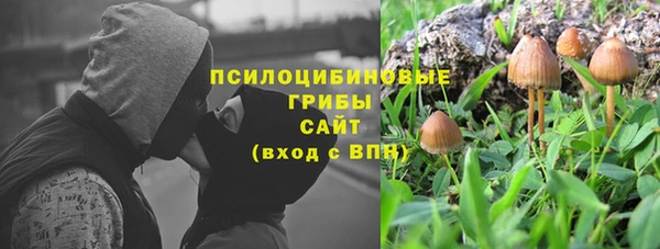соль ск Богородицк