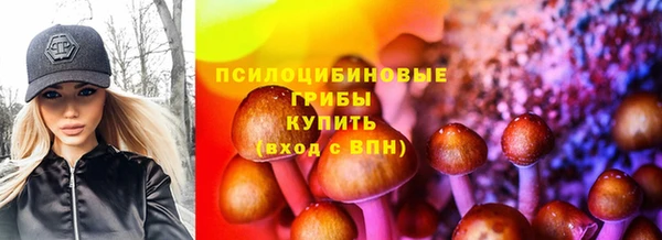 ALPHA-PVP Бородино