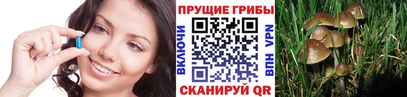Галлюциногенные грибы мицелий  как найти закладки  Холмск 